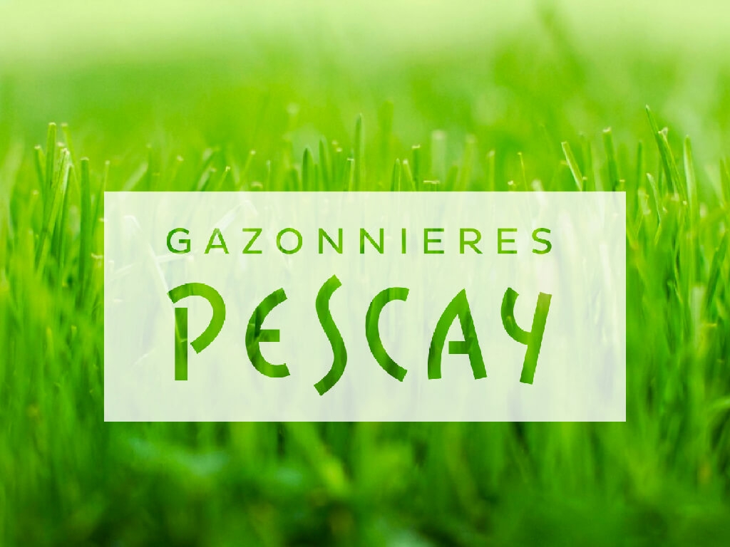 pescay-1