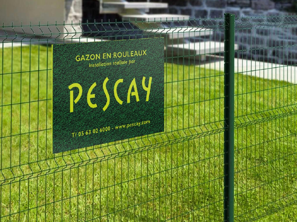 pescay-3